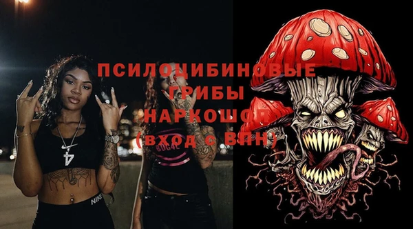 ешки Абинск