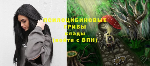 ешки Абинск