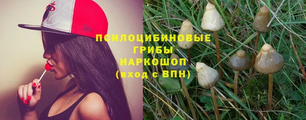 МДПВ Абаза