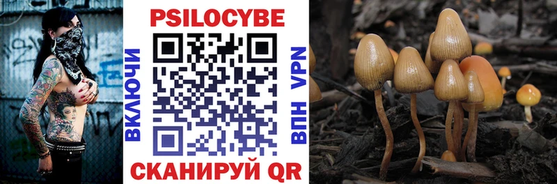 Галлюциногенные грибы Magic Shrooms  OMG онион  Ряжск 